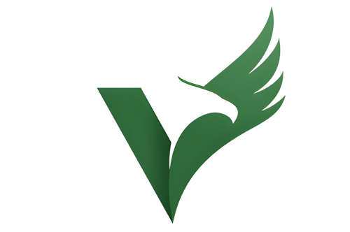 Logo Clínica Núcleo Vhigor
